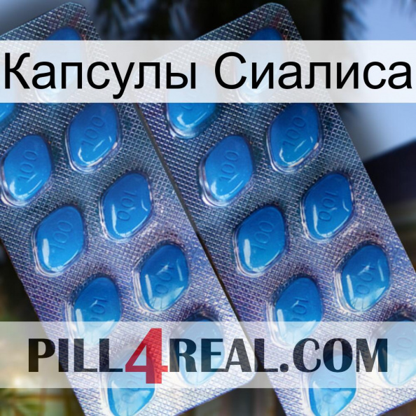 Капсулы Сиалиса viagra2.jpg